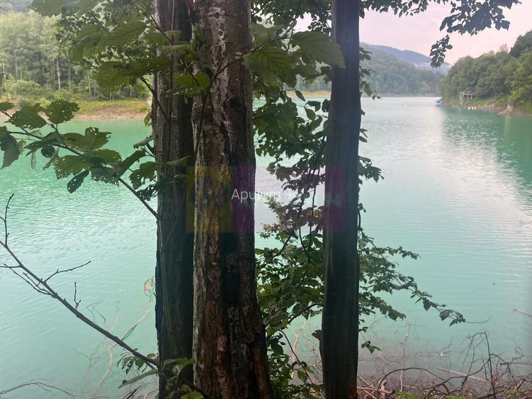 Teren cu deschidere la lac – Valea Doftanei, Prahova - 7
