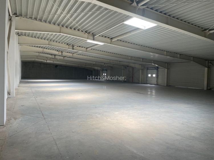 De vanzare hala in Sanandrei, judetul Timis - 8