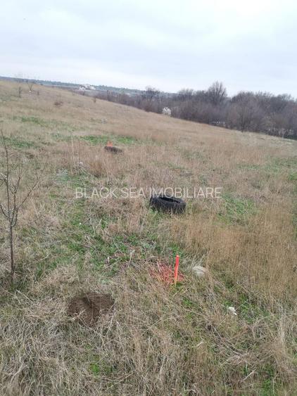 TEREN INTRAVILAN 306 mp – Palazu Mare, Constanta - Ocazie Unica - 5