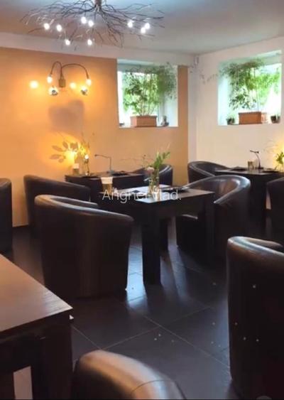 Proprietar vând Hotel Boutique  la Timișoara  - 11