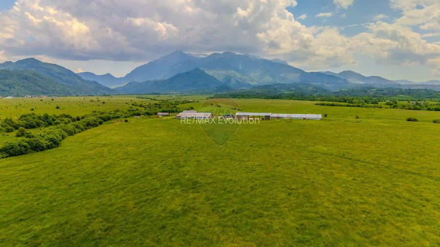 Teren 10,800mp Rasnov / Drumul DN73 - 4