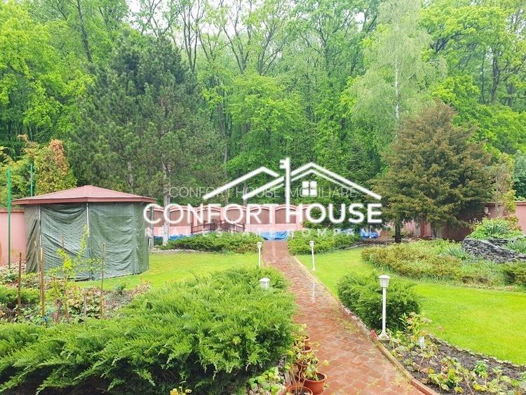 VILA D+P+E+M, 12 camere, piscina , padure, IANCU NICOLAE - 4