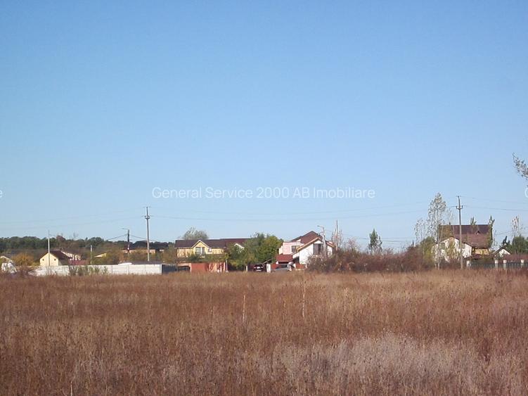 Domnesti-Teghes - 16