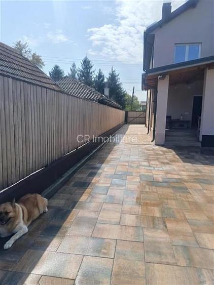 Vila in Izvorani - 10