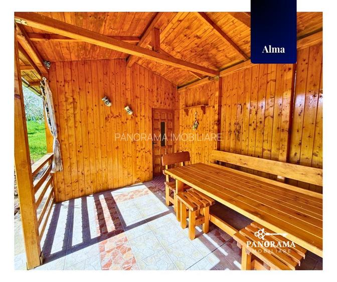 Teren Intravilan cu cabana  in satul transilvanean Alma - 10