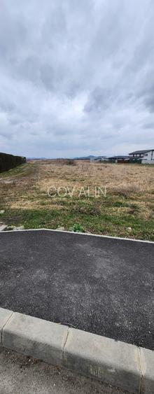 Stupini str. Barsei, asfalt, utilitati, 14 loturi 500-700 mp, suprafata 7692 mp. - 3