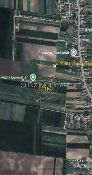 LOT de casa Tartasesti Primarie | teren cu potential - 7