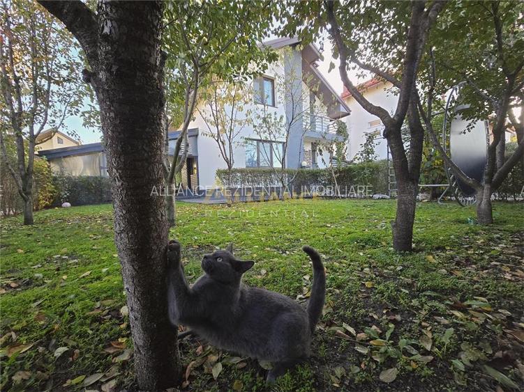 Vila mobilata si utilata- 5 camere -foisor -pod- statie dedurizare - 4