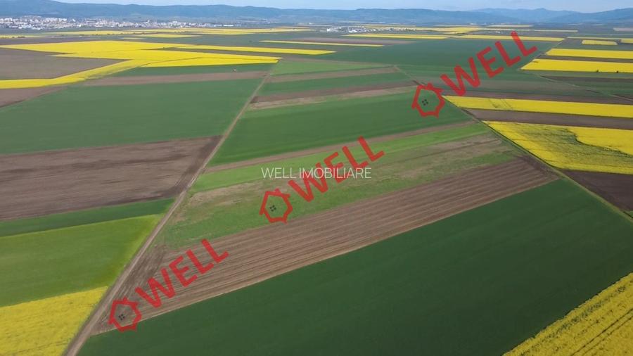 5 terenuri agricole de vânzare în Sântionlunca! - 5