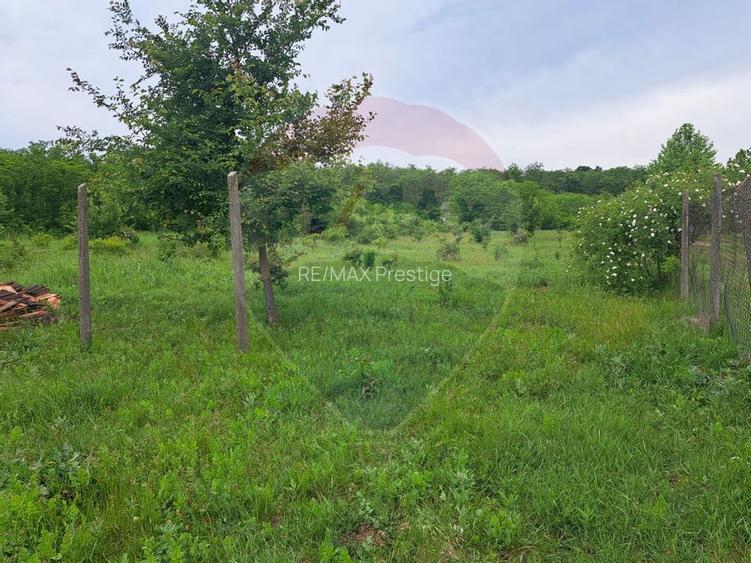 Teren Silistea Snagovului 500 mp apropiere padure - 2