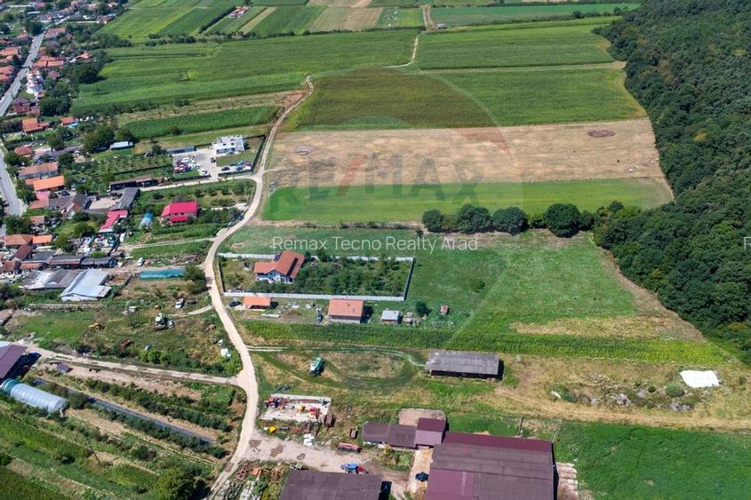 Teren intravilan Balata /Hunedoara - 12