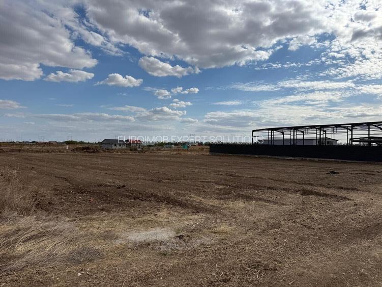 Teren DN4-A0 cu deschidere la Soseaua Oltenitei - 3