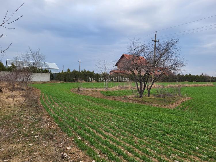 VANZARE TEREN INTRAVILAN CU DESCHIDERE DE 20 ML LA DJ SILISTEA SNAGOV - 2