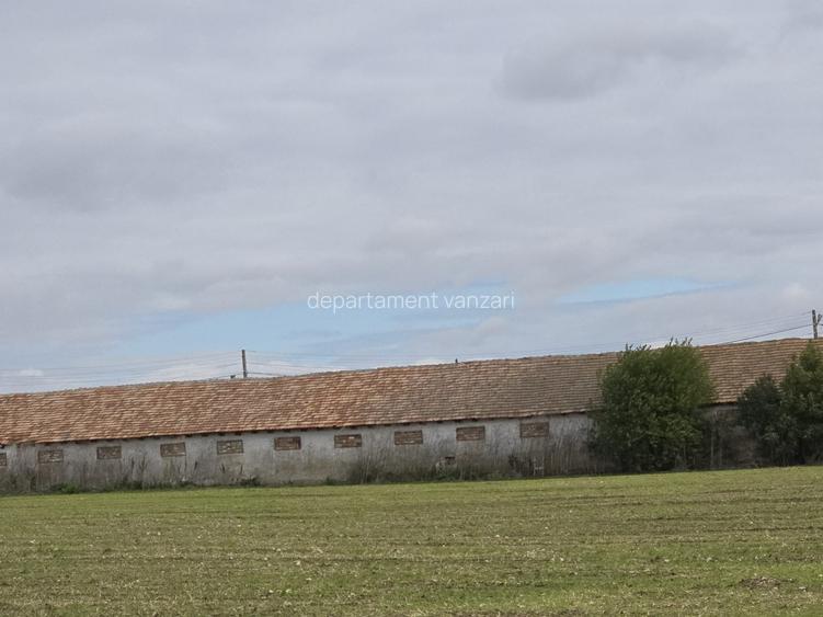 Amzacea- sat G.Scarisoreanu -Ferma zootehnica , 5.1 ha - 2