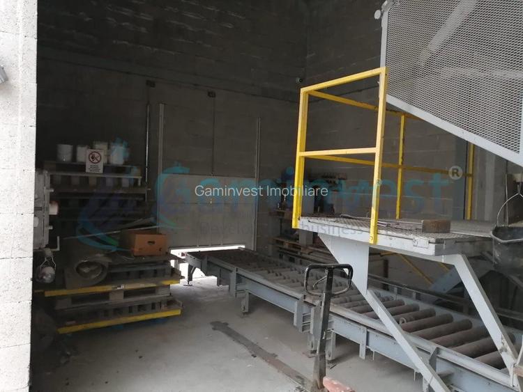 Teren cu platforma betonata si cladire de vanzare, Bihor - 6