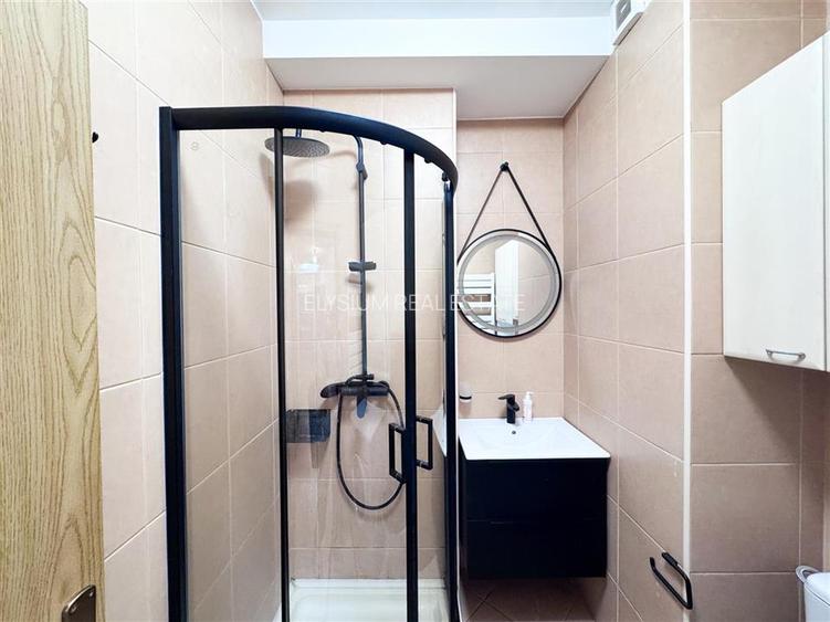 Apartament 3 camere de inchiriat Herastrau Cartierul Francez - 27