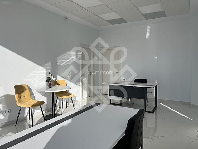 Hala noua 2402 mp in Parcul Industrial I, zona Borsului - 9