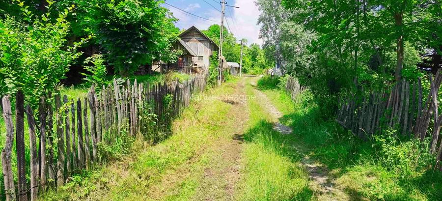 Teren intravilan Talea situat in mijlocul naturii ! - 16