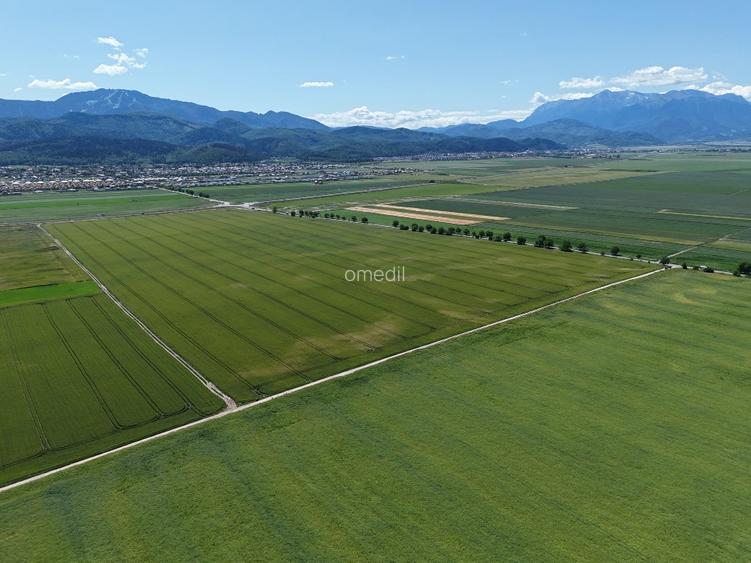 Teren de vânzare într-un ansamblu rezidențial nou! - 4