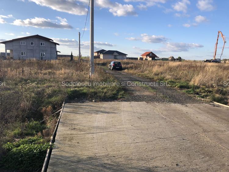 Teren Covaci-770-1540 mp la asfalt - 2