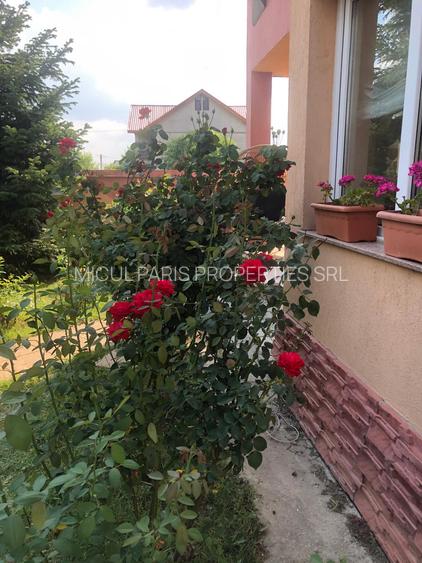 Vila individuala spatiosa - teren 1156 m.p. - 37