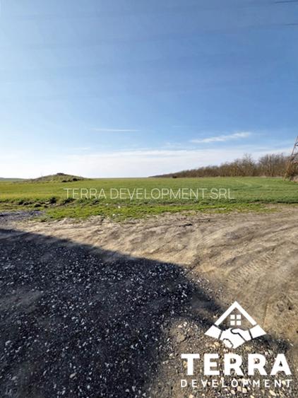 Investiție pe litoral – loturi de teren la intrarea în Costinești - 4