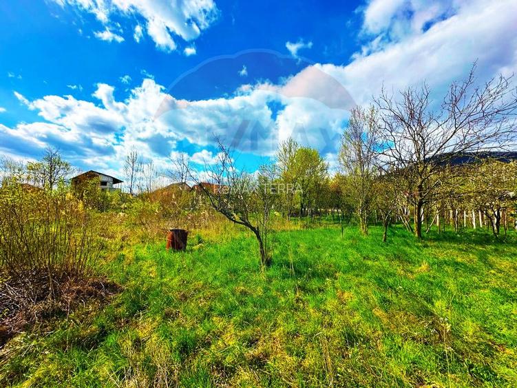 ZONA PREMIUM-TEREN INTRAVILAN - 8