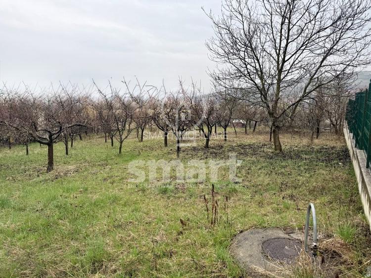 Teren construibil 800mp Borhanci zona Romul Ladea - 2