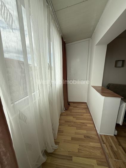 Apartament spatios, o camera, 31 mp utili + balcon - Buziasului - 6