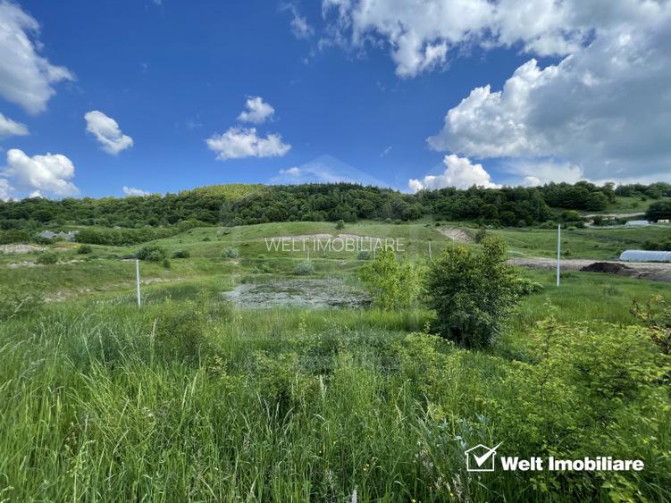 Teren superb in Salicea, 1170 mp, PUZ, drum, apa si curent, zona “La Mesteceni” - 2