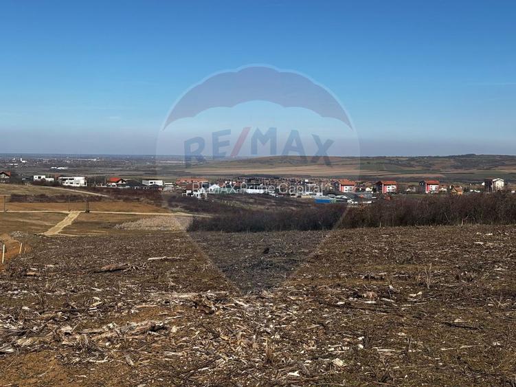 Teren de vânzare – Paleu, județul Bihor | 3 parcele a câte 618 mp - 8