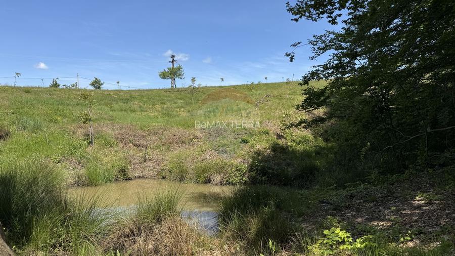 Teren intravilan de vanzare 55 600 mp Codru Butesii - 15