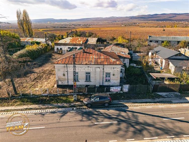 FILM! Casa boieresca autentica,domeniu de 4.000 mp intravilan,in podgoriile Odob - 16