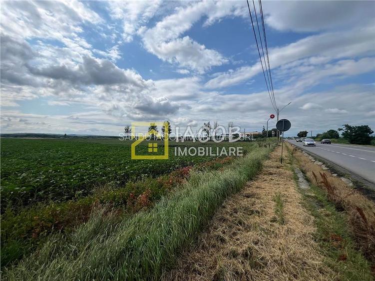 Teren intravilan, 8333 mp, la E85, comuna Secuienii Noi, jud. Neamt - 4