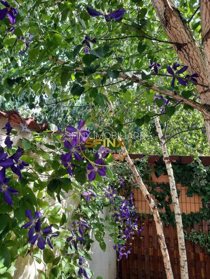 Parc Marin Preda, sector 1, vanzare vila individuala, mobilata, gradina, parcare - 30