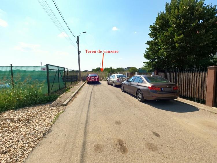 Teren 80.084 mp Otopeni - Intrarea Mesteacanului - 4