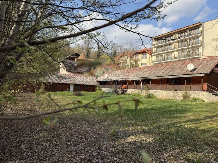 Teren cu potential investitional – Sovata, zona Lacul Ursu - 13