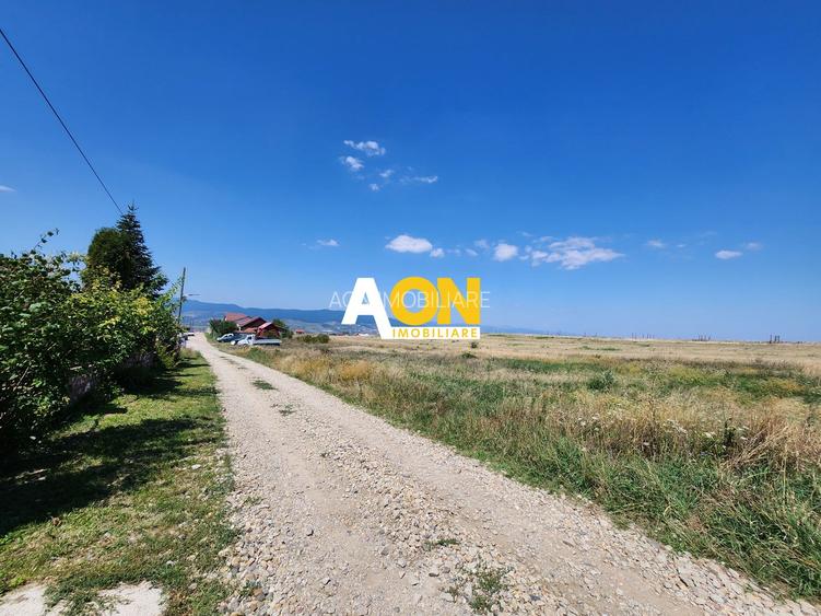 De vanzare 485 mp teren intravilan, Oarda de Sus - 3