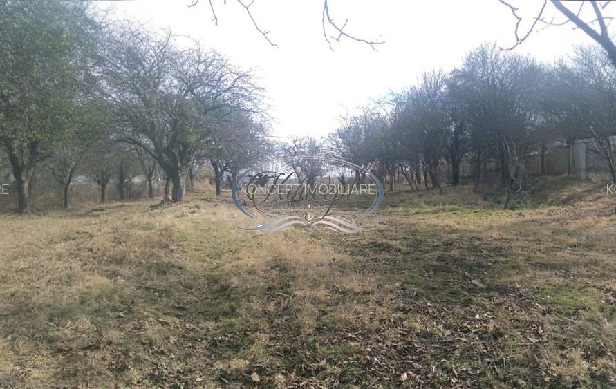 Teren pentru casa sau duplex in sat Gheorgheni - 2