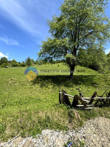 Teren 5777 mp in comuna Ceahlau - 4