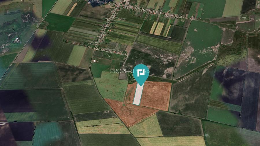 Teren extravilan de 28900 mp în Variașul Mare - 2