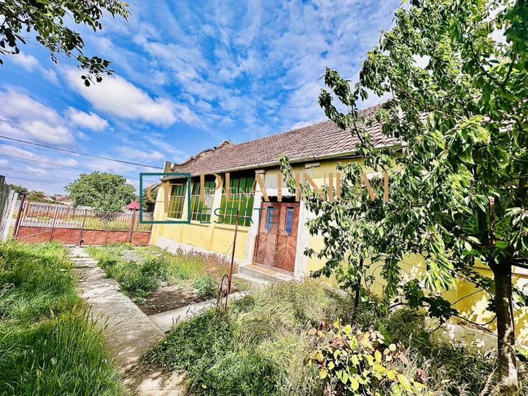 P4504 Casa cu 5 camere in Becicherecu Mic teren 961 mp ASFALT - 5