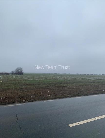 Vanzare Teren Otopeni 23 August-  Tunari - Dimieni - Tamasi - 4