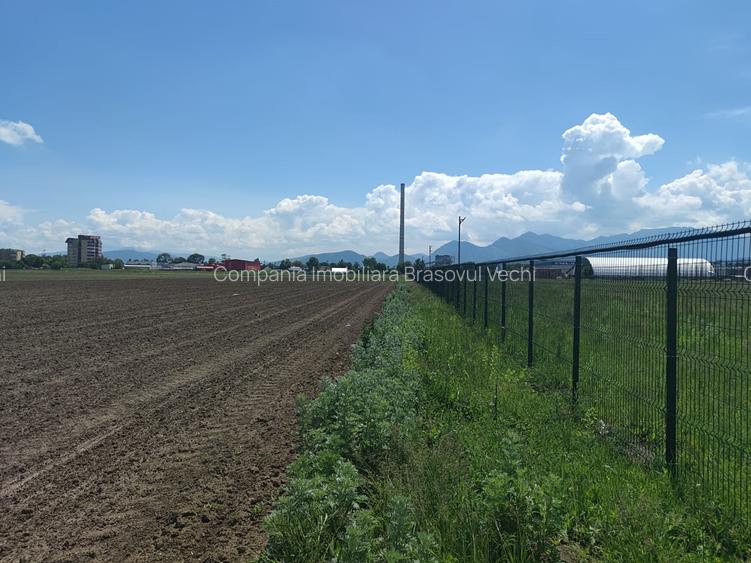 Teren intravilan cu potențial excelent în Triaj, Narciselor, pentru dezvoltatori - 8