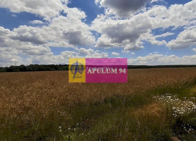 Teren 715mp în Snagov lângă Equestria - 38