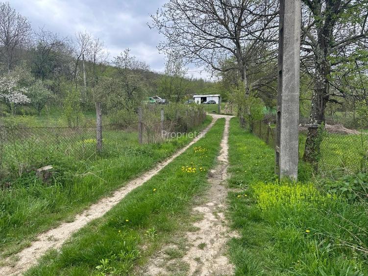 Imobil comercial/turistic S+P+2 - oportunitate investitie Muereasca ( Valcea)  - 10