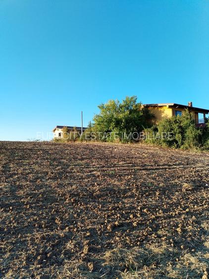 Ciolpani, spre Izvorani - COR, vanzare teren 5000mp. - 12