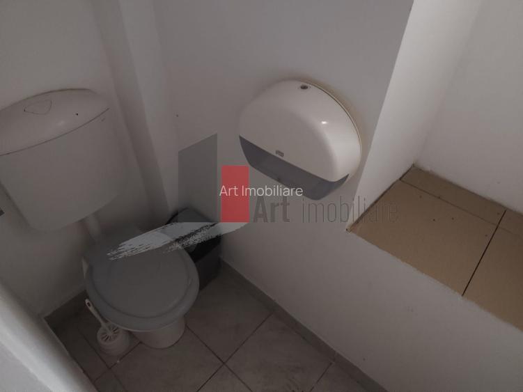 Inchiriere Spatiu Comercial, pretabil restaurant, zona Parcul Carol - 30