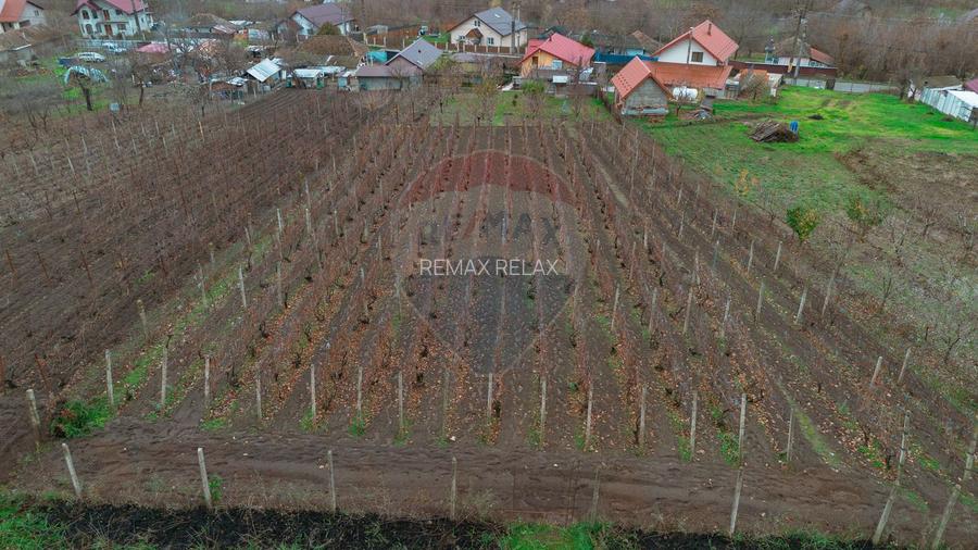 Casă de Om Gospodar - Costuleni - Grădină 2093 mp -0% Comision 0% TVA - 13