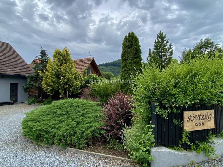 In apropierea strandului sarat si Sovata imobil cu teren 2400 mp + casa 270 mp - 11